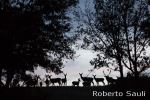 5083-2012set29 - Copia